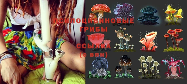 шишки Алзамай