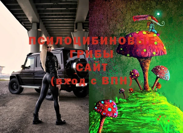 шишки Алзамай